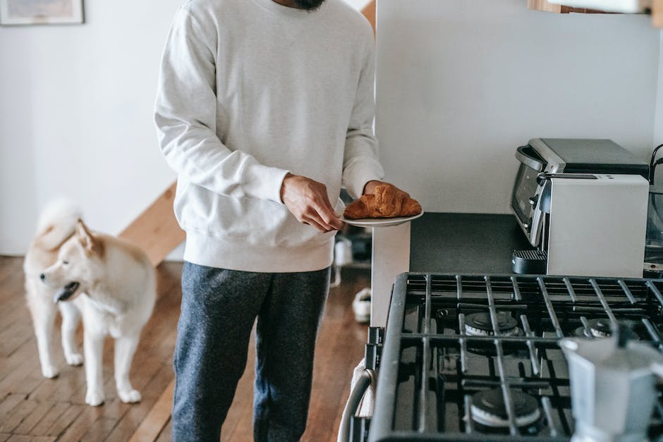  Wie lange muss man Reis kochen, um es für Hunde sicher zu machen