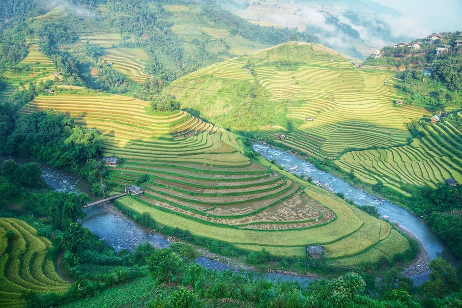 wassermenge für eine tasse reis