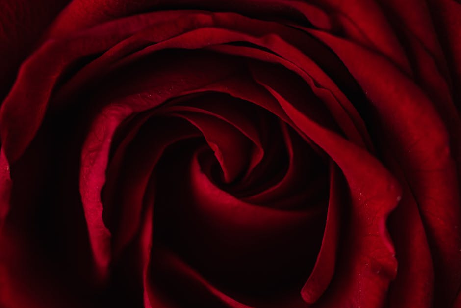 warum reis zur hochzeit_2