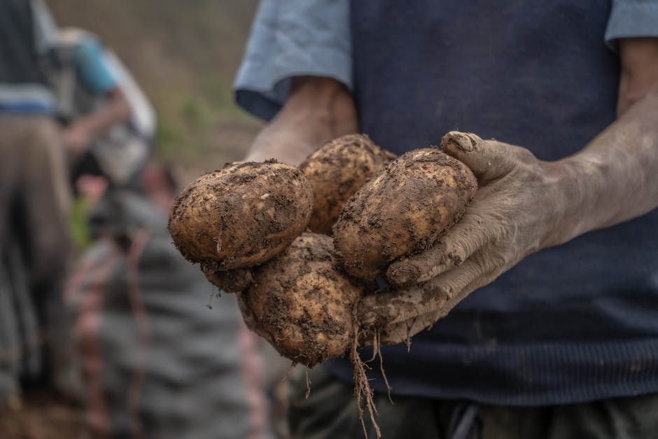 was hat weniger kalorien reis oder kartoffeln_2