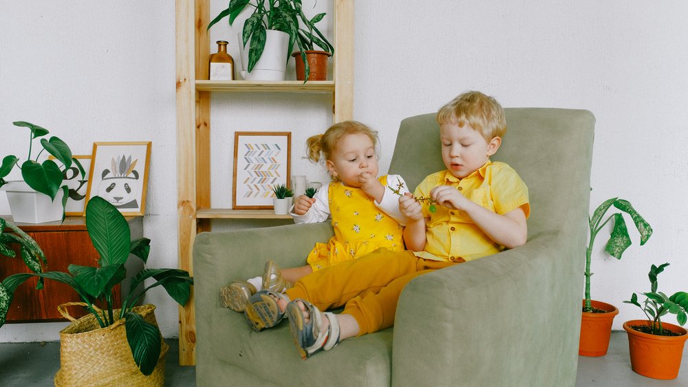 reis für babys
